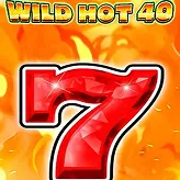 Wild Hot 40 – la chaleur sauvage de Vegasino